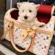 LV x TM Dog Bag M13741 LV x TM Dog Bag M13741