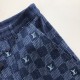 Louis Vuitton Embroidered Damier Denim Shorts 1AFVO9 Louis Vuitton Embroidered Damier Denim Shorts 1AFVO9