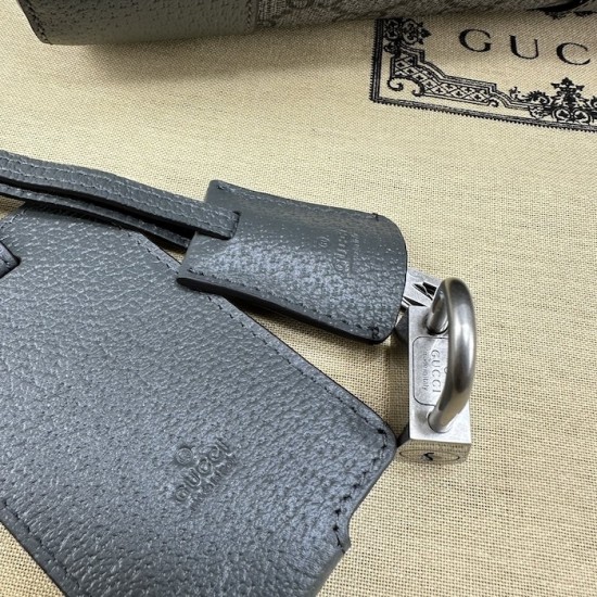 Gucci Ophidia medium duffle bag Grey ‎724642