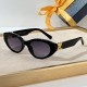Louis Vuitton LV GO-14 Cat Eye Sunglasses Z2104W Louis Vuitton LV GO-14 Cat Eye Sunglasses Z2104W